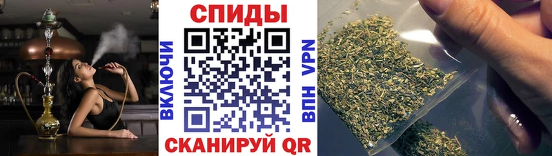 Бутират бутандиол как найти Змеиногорск