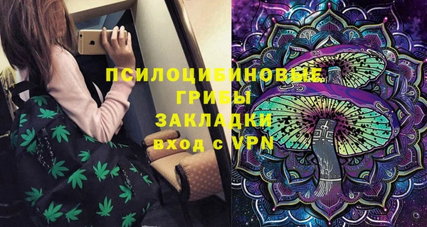 МДПВ Алзамай