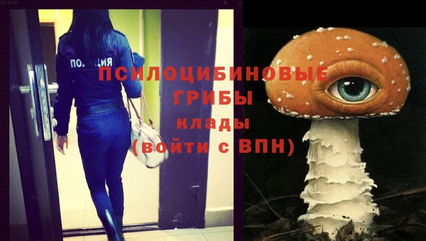 стаф Аркадак
