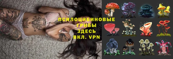 амфетамин Алексеевка
