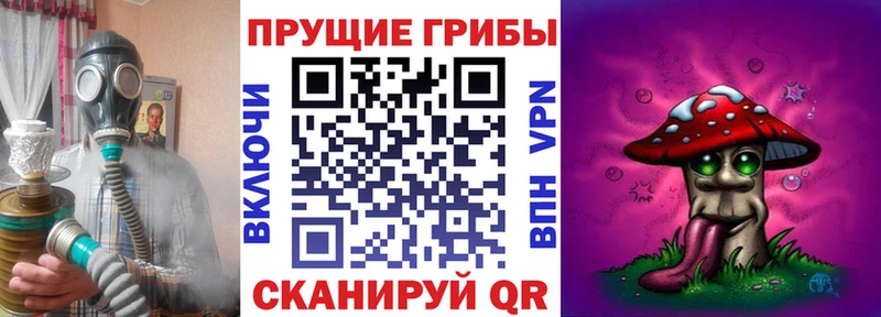 MEGA как зайти  Змеиногорск  Псилоцибиновые грибы Magic Shrooms 